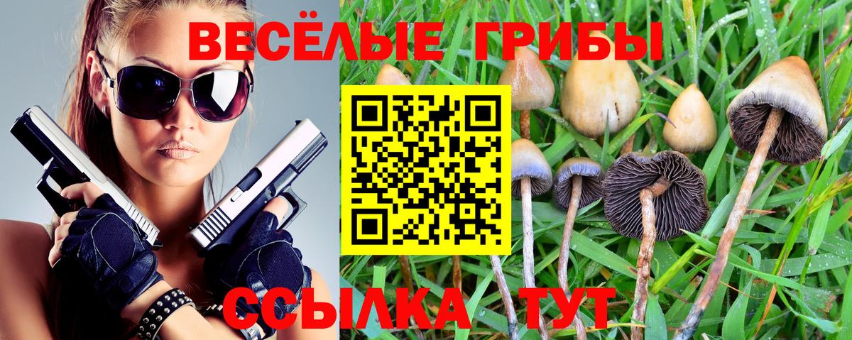 Псилоцибиновые грибы ЛСД Новотроицк