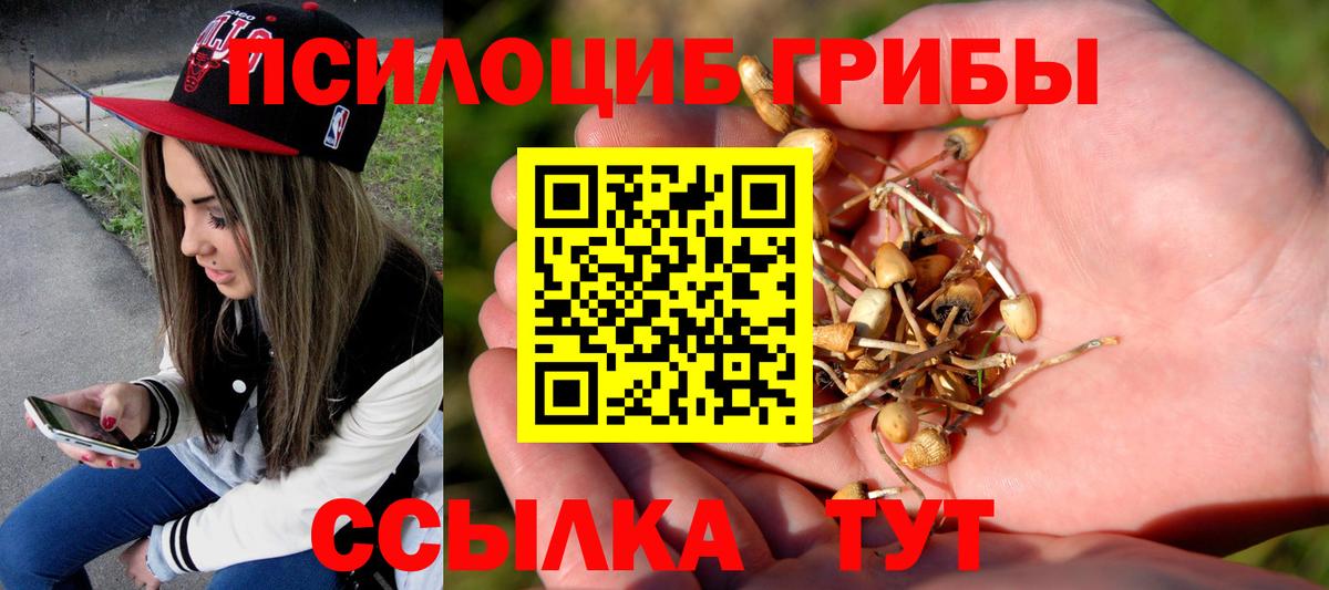 Псилоцибиновые грибы GOLDEN TEACHER  Галлюциногенные грибы GOLDEN TEACHER  Новотроицк  Вход с VPN 